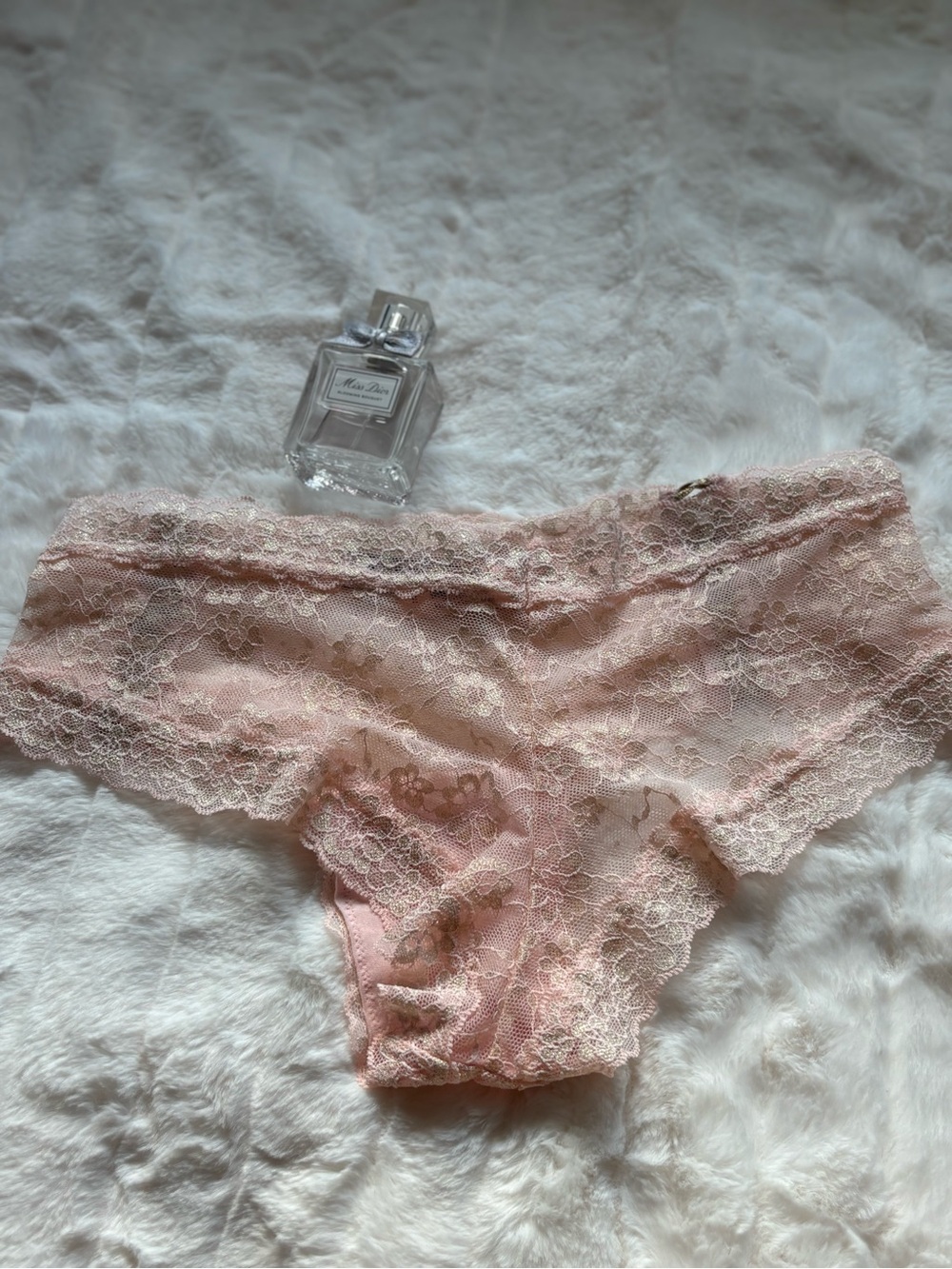 Sheer Lace cheeky Panties in Blush Pink